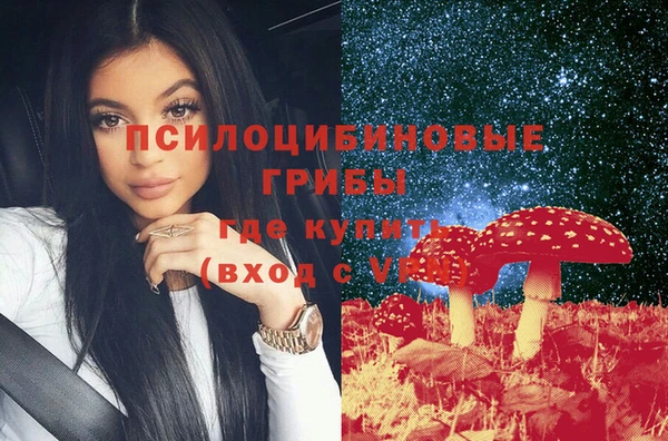 индика Богородск