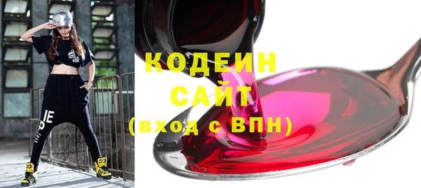 индика Богородск