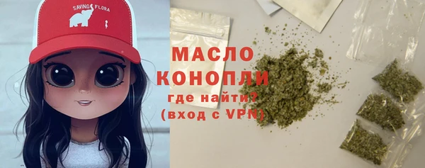 индика Богородск