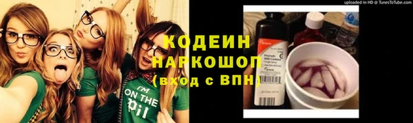 индика Богородск