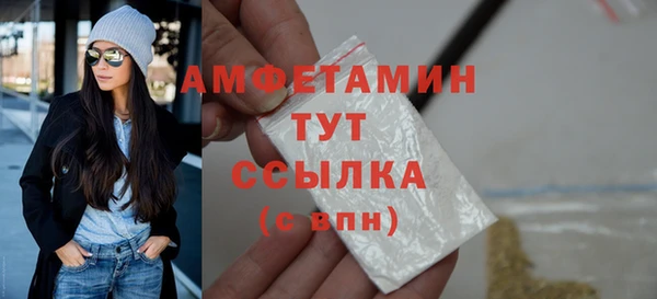 индика Богородск