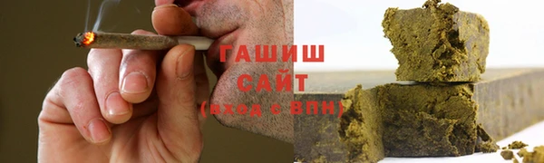 индика Богородск