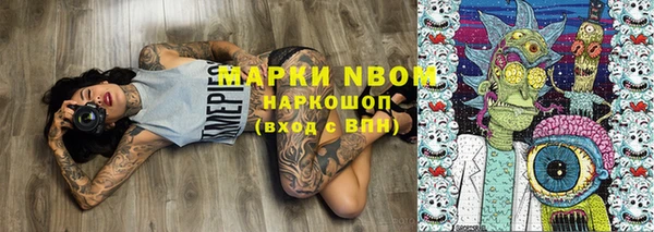 индика Богородск