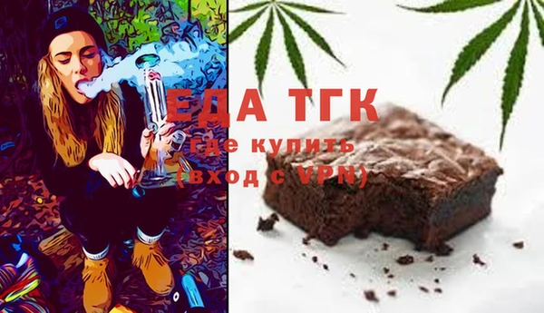 индика Богородск