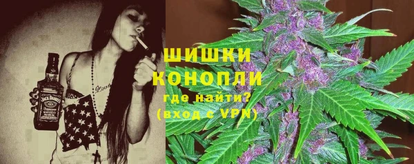 apvp Богородицк