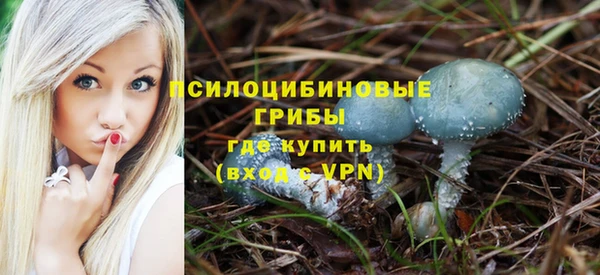 apvp Богородицк
