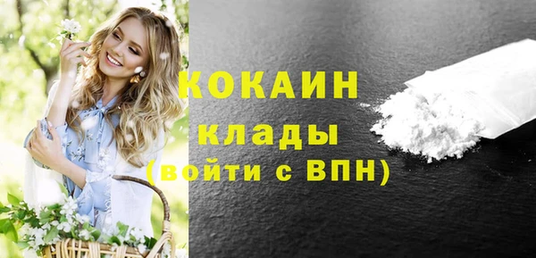 индика Богородск