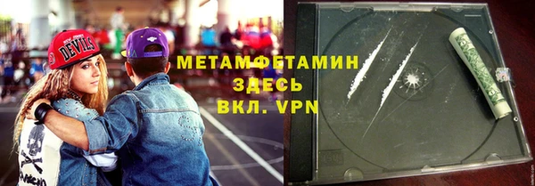 индика Богородск