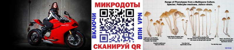 блэк спрут ССЫЛКА  закладки  Кола  Галлюциногенные грибы Magic Shrooms 